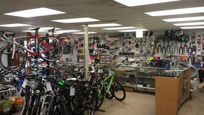 House of Bicycles Picture 7