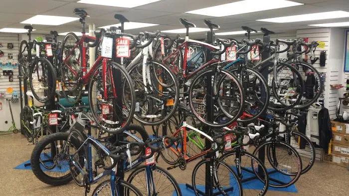 House of Bicycles Picture 3