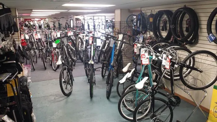 House of Bicycles Picture 2