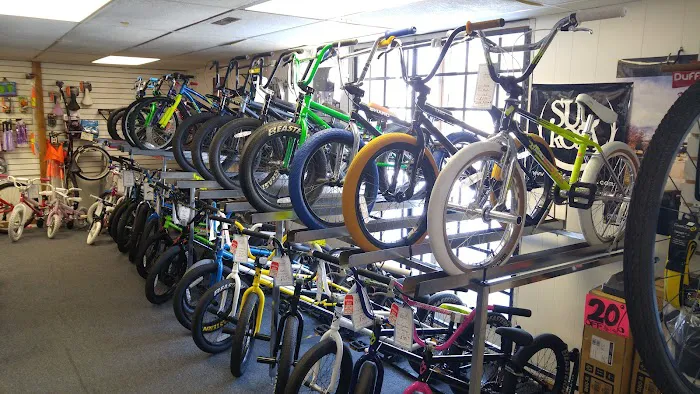 House of Bicycles Picture 10
