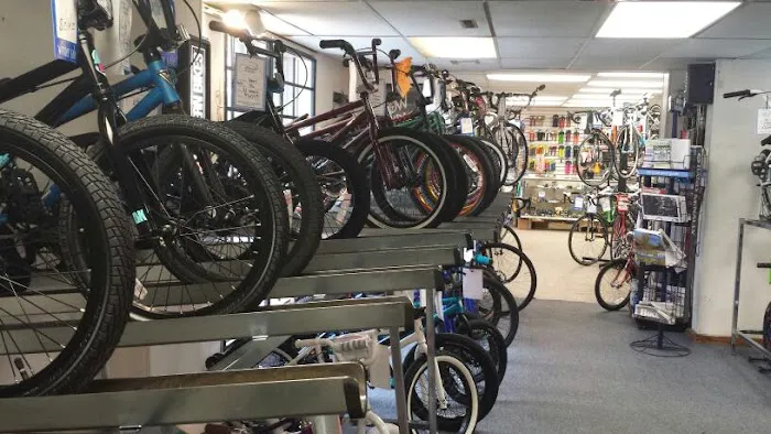 House of Bicycles Picture 6