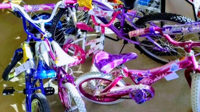 Ellis Cycles Picture 1