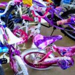 Ellis Cycles