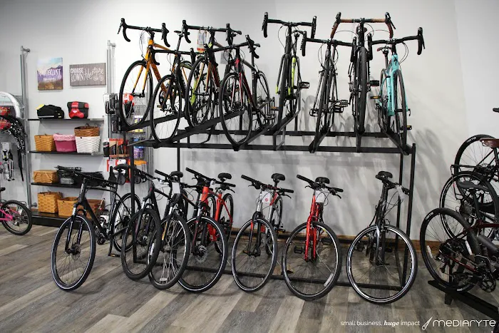Pumpkinvine Cyclery Picture 5
