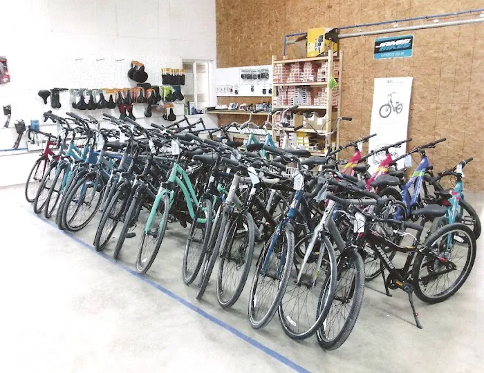 Otto's Bicycle Repair & Water Shop Picture 3