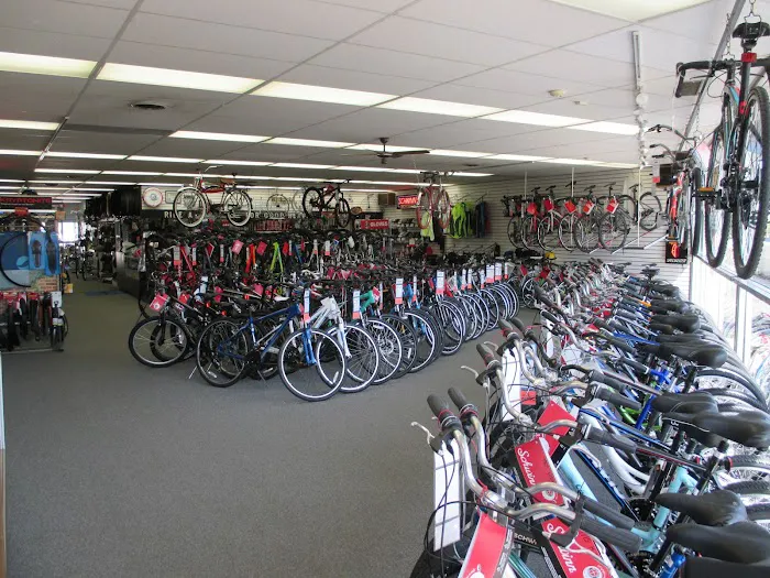 Allis Bike & Fitness Picture 5