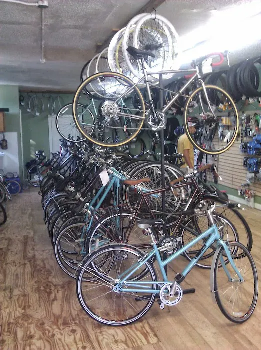 Truly Spoken Cycles Picture 9