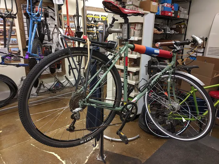 Everyday Cycles Picture 3
