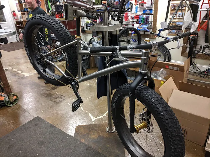 Everyday Cycles Picture 6