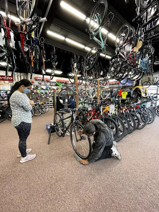 Emerys Cycling, Triathlon & Fitness Picture 2