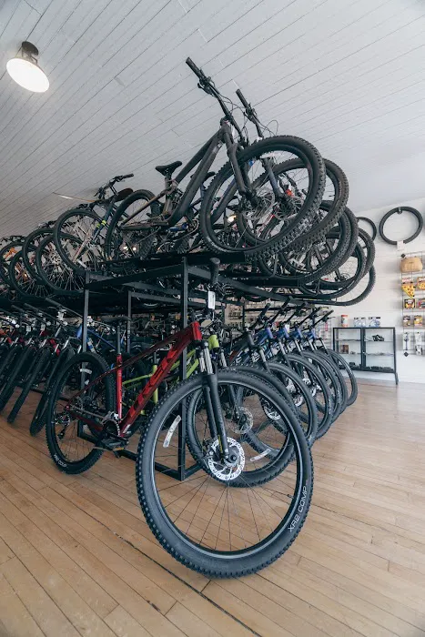 BOONIE'S BIKES Picture 8