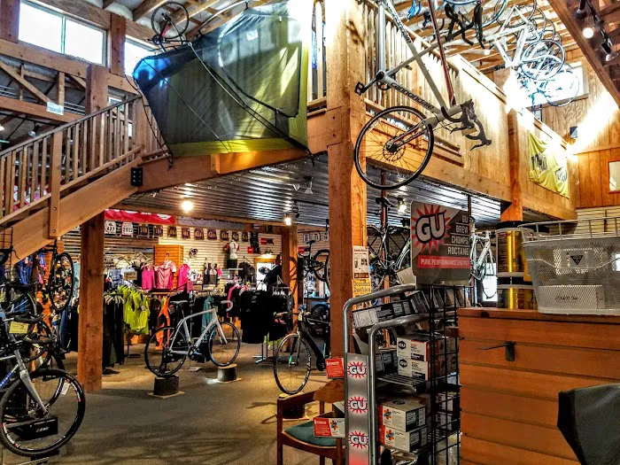 Bicycle Doctor Nordic Ski Shop Picture 2