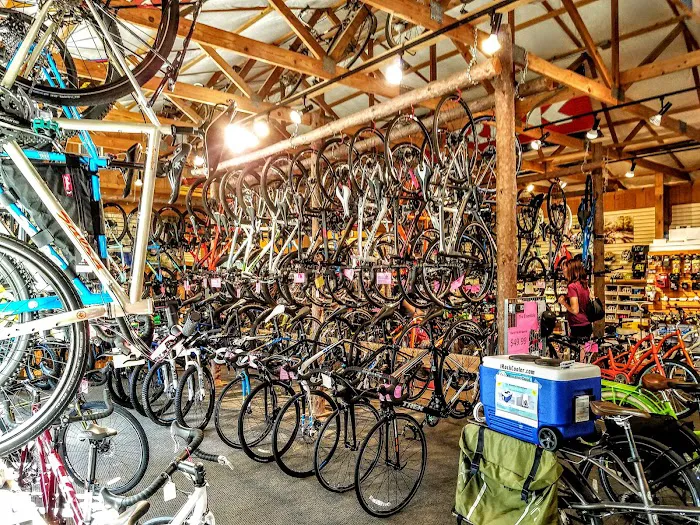 Bicycle Doctor Nordic Ski Shop Picture 9