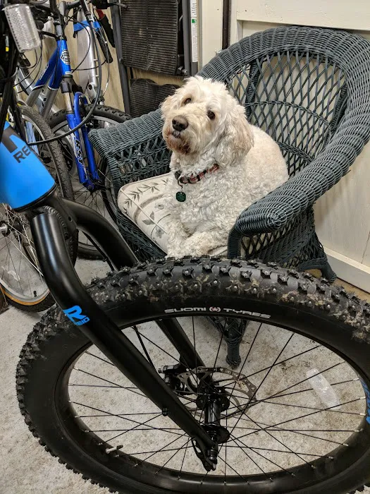 The Powered Pedaler LLC Picture 6