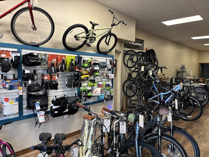 Shifting Gears Bike Shop Picture 3