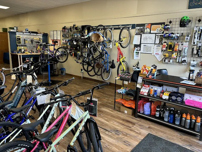 Shifting Gears Bike Shop Picture 6