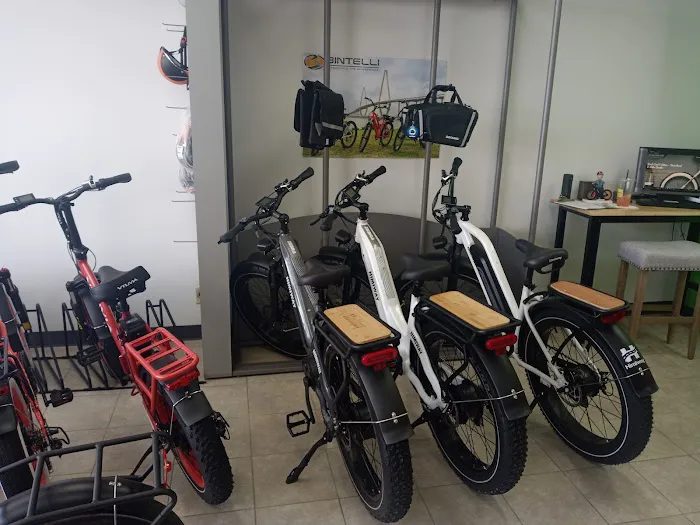 Rock Cut E-Bikes Picture 8