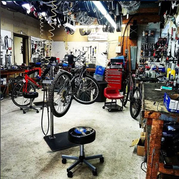 Atkins Verona Bicycle Shoppe Picture 4