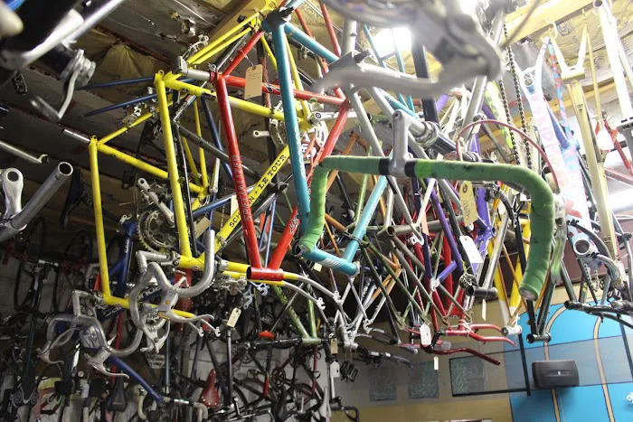 Unbroken Chain Cycles Picture 3
