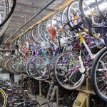 Unbroken Chain Cycles
