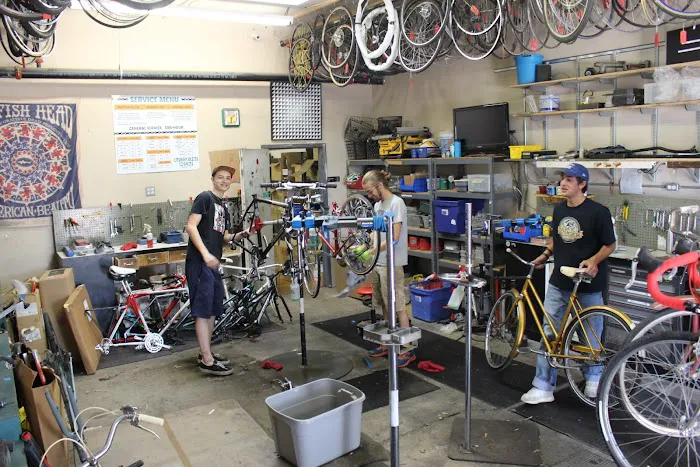 Unbroken Chain Cycles Picture 5