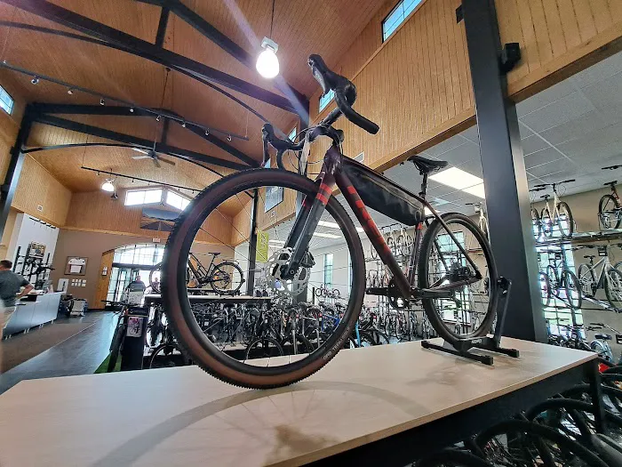 Trek Bicycle Rockford Picture 2