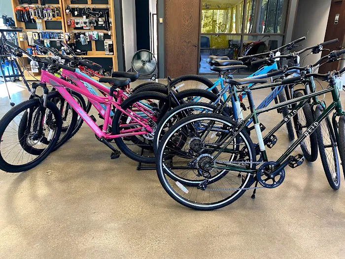 Subversive Cycling Company Picture 1