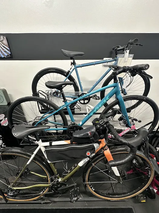 Subversive Cycling Company Picture 2