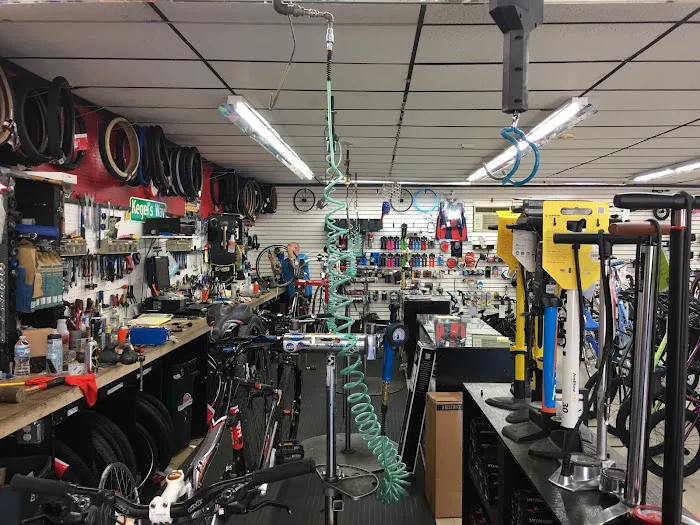 Kegel's Bicycle Store Picture 4