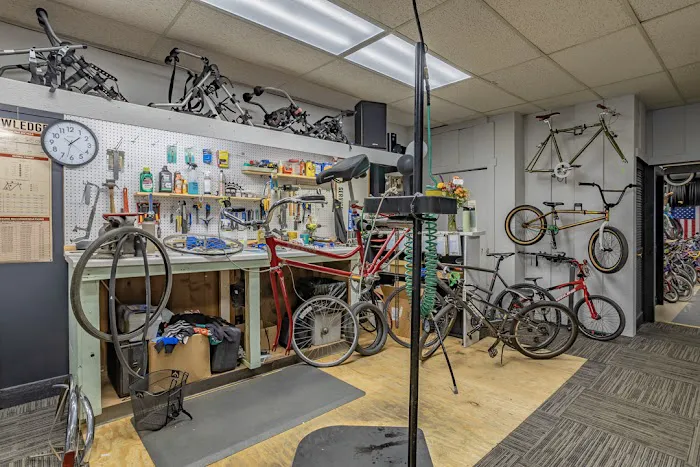 The Bicycle Hub Picture 9