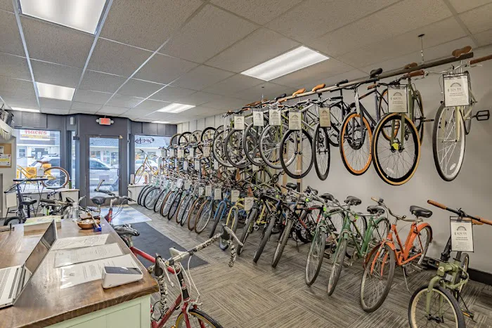 The Bicycle Hub Picture 8
