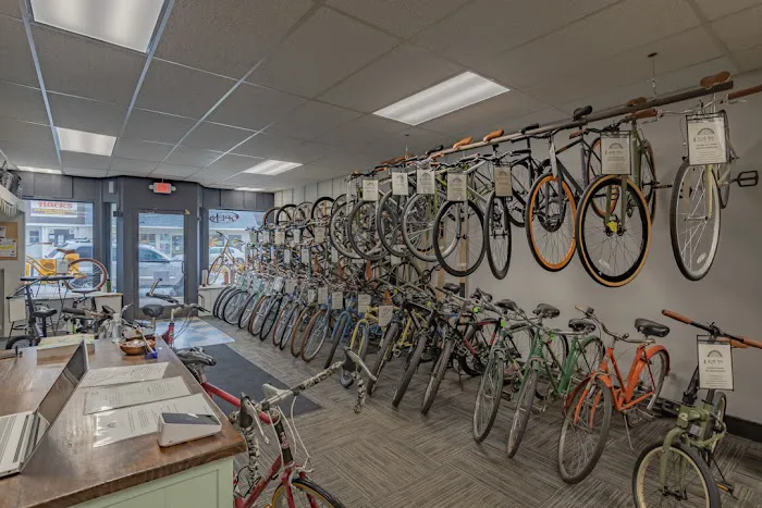 The Bicycle Hub Picture 3