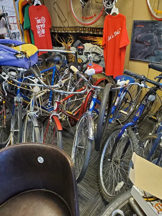 The Bicycle Hub Picture 5