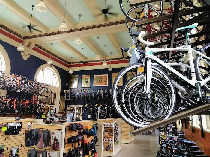 Motorless Motion (MoMo) Bicycles Picture 5