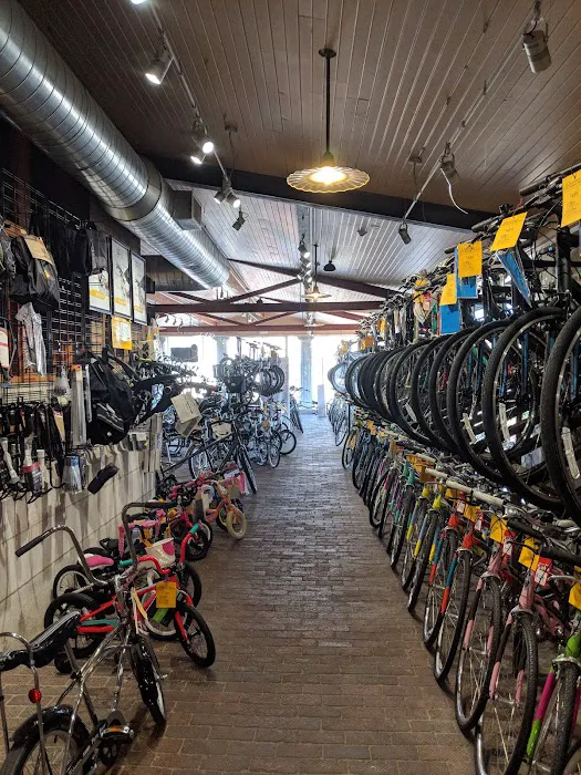 Motorless Motion (MoMo) Bicycles Picture 7
