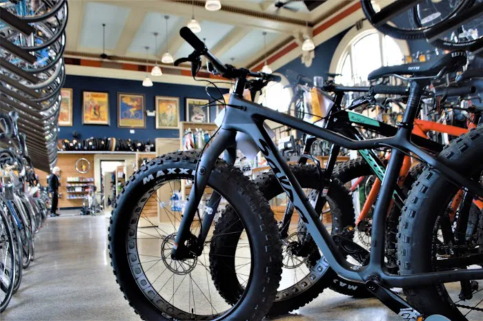 Motorless Motion (MoMo) Bicycles Picture 8