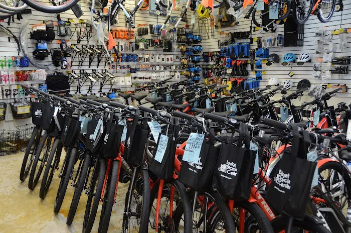 Budget Bicycle Center Picture 6