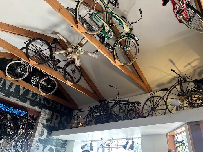 Budget Bicycle Center Picture 9