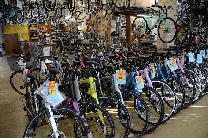 Budget Bicycle Center Picture 10