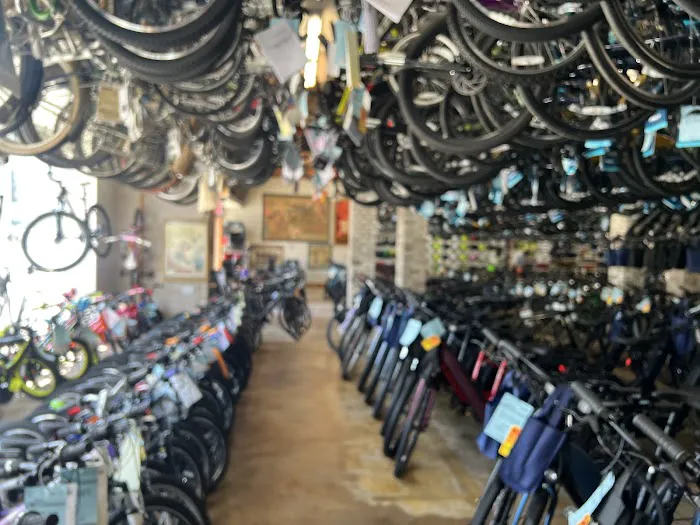 Budget Bicycle Center Picture 3