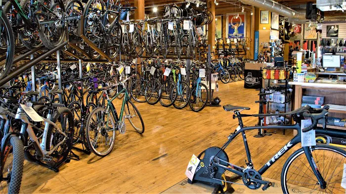 Machinery Row Bicycles Picture 6
