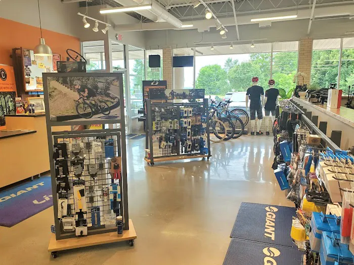 Slow Roll Cycles Picture 4