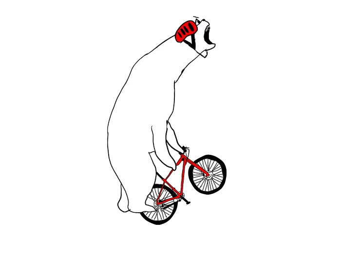 Grateful Tread Bicycle Repairs Picture 5
