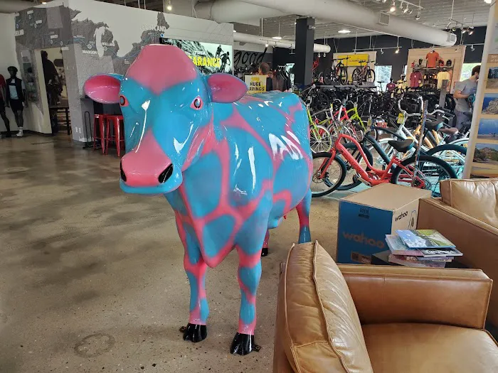 Trek Bicycle Madison West Picture 2