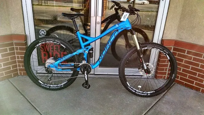 Trail This Bicycle Shop Picture 5