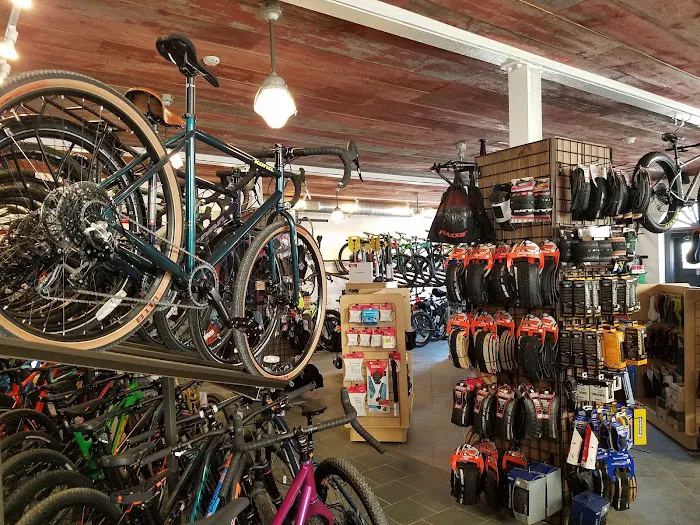 Trail This Bicycle Shop Picture 3