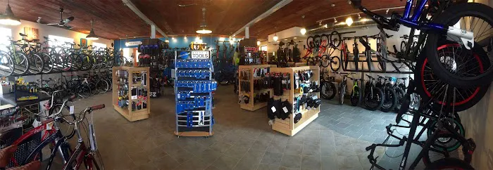 Trail This Bicycle Shop Picture 7