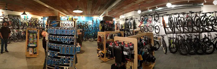 Trail This Bicycle Shop Picture 1