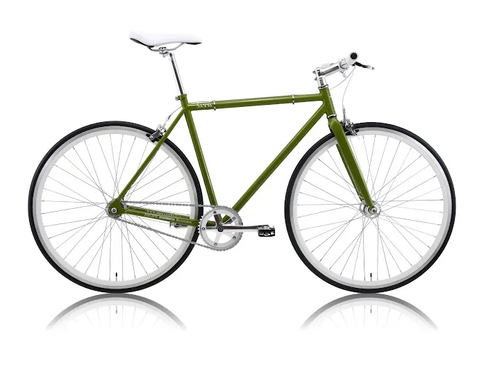 Stray Cat Bicycles LLC Picture 1