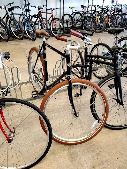 DreamBikes Madison Picture 1